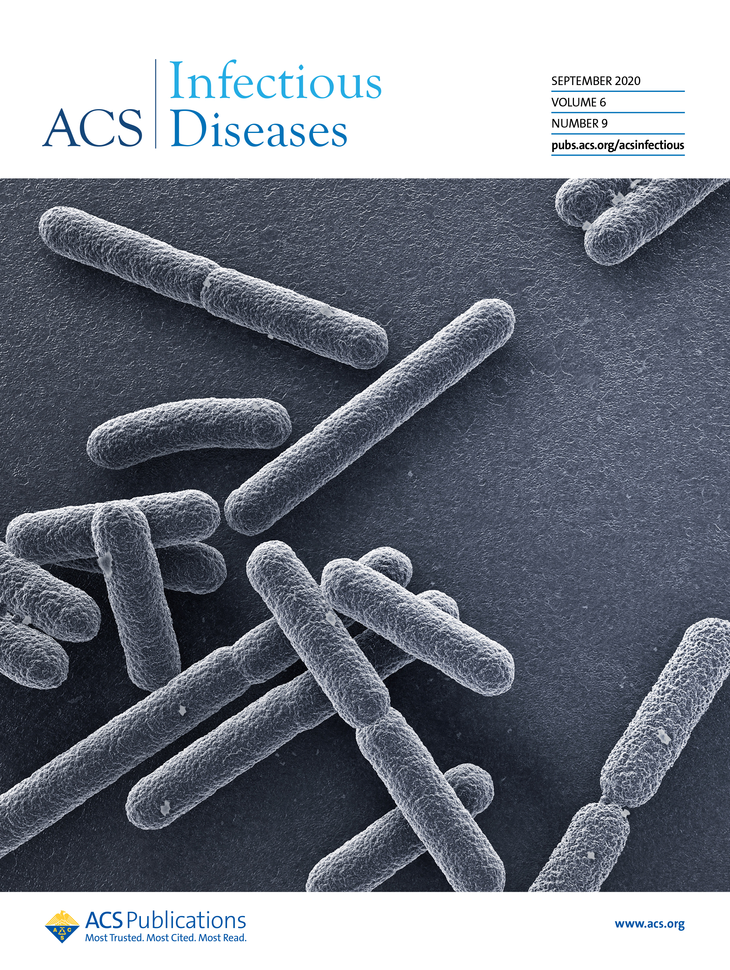 Штаммы escherichia coli